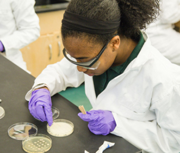 An Upper School student in a science lab.